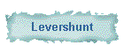 Levershunt